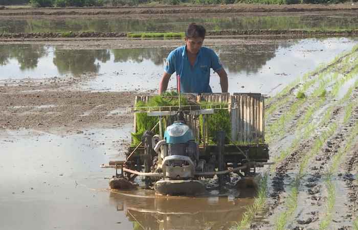 Nghị quyết 13, trợ lực thúc đẩy phát triển kinh tế tập thể (28-08-2022)